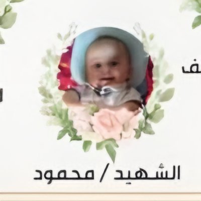 מוחמד ומחמוד יוסף מוחמד אחמד אבו שאויש