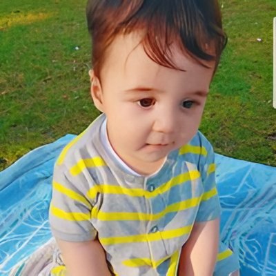זין סאמר מבאשר